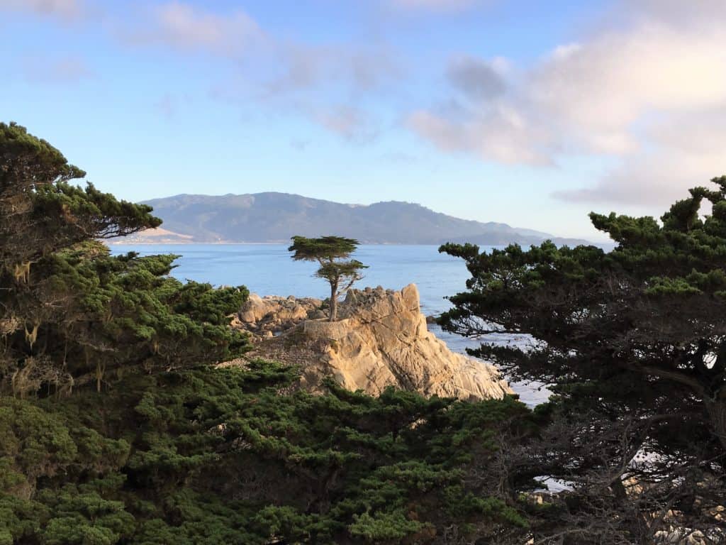 Lone Cypress 17-mile drive, Carmel with kids